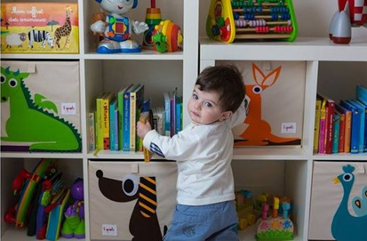 Boxes to Store & Organise Toys